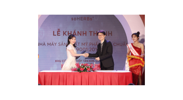 CEO Dương Dương 